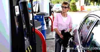 VanEck CEO Says Transaction Fee Is Bigger Story Than Bitcoin or Ethereum ETFs