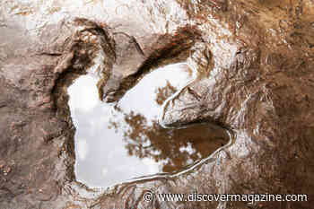 Ancient Rock Art and Dinosaur Footprints Found Side By Side In Brazil