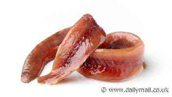 Would you try an anchovy lasagne? Scientists say swapping red meat for cheap, oily fish could save up to 750,000 lives a year globally