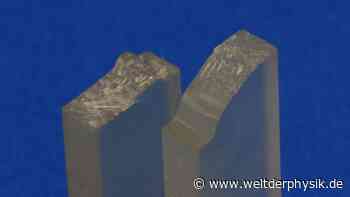 Bakterien bauen Bioplastik