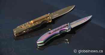 Edmonton residents calling for dangerous knife sale restrictions speak at city hall