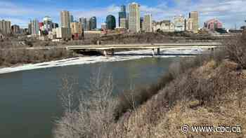 Alberta's police watchdog investigating after man pursued by officers falls through river ice