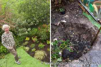 OAP's faith in humanity and garden restored as strangers fix sinkhole