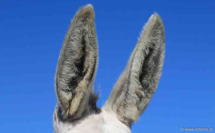 Hootsuite koopt nieuwe ‘oren’ voor socialmedia