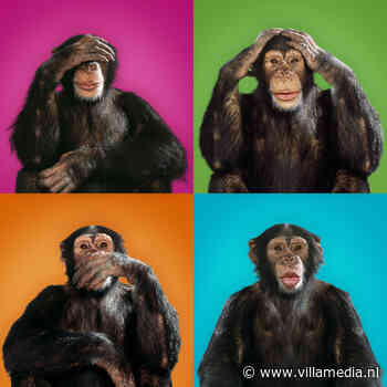 Recensie: Avoiding the News verplichte kost voor inzicht in een bewust onbereikbaar deel van ons publiek