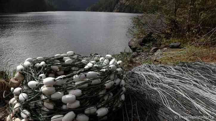 Time ticks down for stranded orca calf as rescue efforts ramp up, but no set date