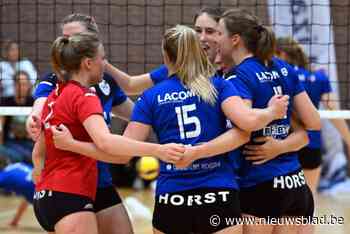 “In de terugronde hebben we het op een na meeste punten gehaald en nog altijd staan we voorlaatste”, vrouwen Lizards Lubbeek Leuven B blijven knokken voor behoud