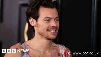 Guides wanted for Harry Styles village tours