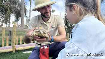 Inaugurazione della più grande area d’Europa dedicata alle testuggini africane