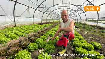„Solawi“: So funktioniert solidarische Landwirtschaft in der Region