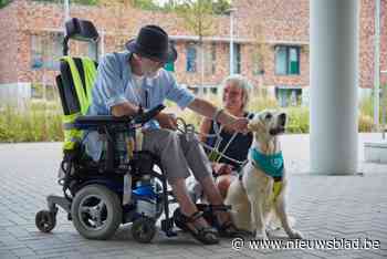“Willen dier en mens met elkaar verbinden”: AAP VZW zoekt aaibare honden en hun baasjes in Lier