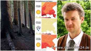 „Extreme Gefahr“: Warum trotz Regens so früh Waldbrände drohen - und wo das Risiko am größten ist