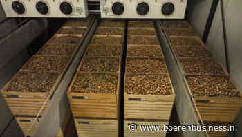 Biologische markten kunnen nog stap maken