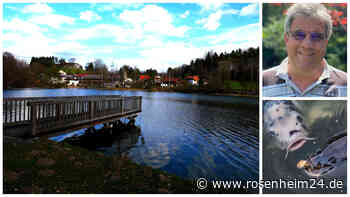 Droht ein erneutes Badeverbot? So steht es um den Patienten „Lauser Weiher“