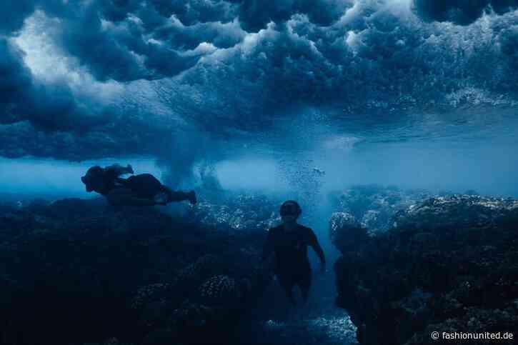 Hugo Boss Stiftung verkündet Partnerschaft mit Coral Gardeners