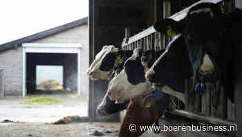 Minister Adema zorgt voor paniekerige fosfaathandel