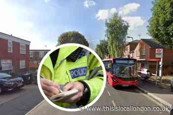 Gang armed with knives and gun in Chingford burglary attempt