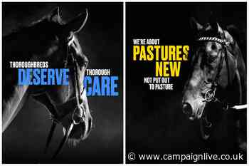 Horse-racing organisations come together for welfare campaign by BMB