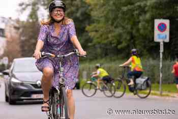 Minder abonnees en meer diefstallen in grote fietsparkings