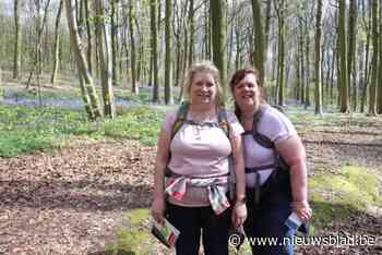 Bloeiende boshyacinten lokken opnieuw kijklustige bezoekers naar Neigembos: “Daarvoor moet je hier dan zo dichtbij wonen om ze te ontdekken”