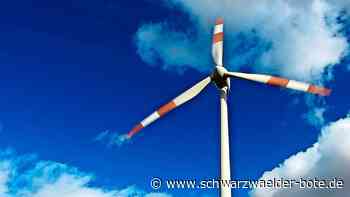 Gemeinderat Bad Wildbad: Windkraftgegner melden sich zu Wort