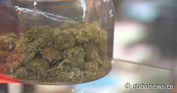 Cannabis stores coming to Surrey, council unanimously approves framework