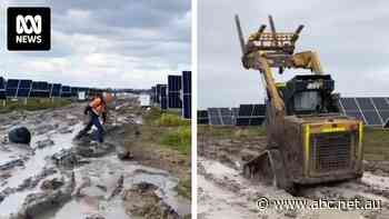 'I knew something wasn't right': Workers sound alarm about unsafe conditions on solar farms