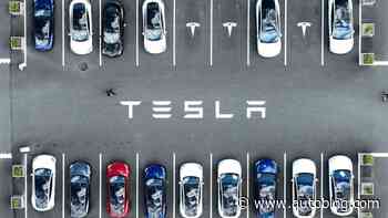 Anything but Tesla: U.S. shoppers want more EV options