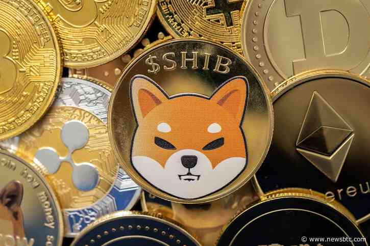 Crypto Analyst Drops Trading Strategy To Profit Off Shiba Inu’s Next Leg Up Above $0.00003