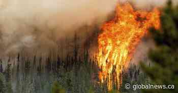 Wildfires 2024: Canada ‘preparing for the worst’ after record season last year
