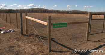 Strathcona County approval of new Crusaders arena spells end for 150-year-old farm