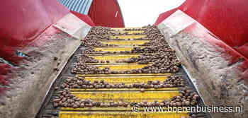 Aardappelareaal in de VS zakt als een baksteen