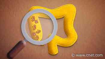 How to Start Healing Your Gut in 4 Easy Steps     - CNET