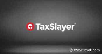 TaxSlayer Review 2024: Best Online Tax Software for Freelancers and Side Hustlers     - CNET