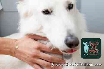 Atelier VM partner with Wild at Heart Foundation for National Pet Day