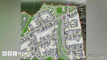 New homes plan referred to full council to decide