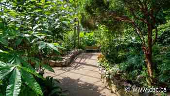 City set to award tender for phase two of Thunder Bay's botanical conservatory renewal