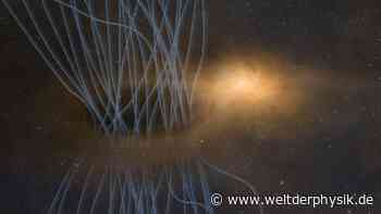 Wenn junge Sterne Magnetfelder abstoßen