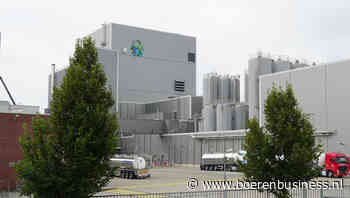 Stabiel Vreugdenhil ook scherp in Belgische markt