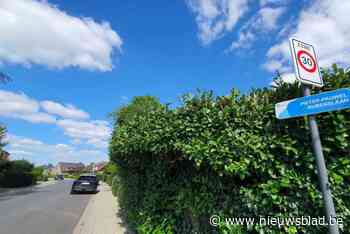 Bruegellaan en Rubenslaan in Breedhout omgevormd in zone 30