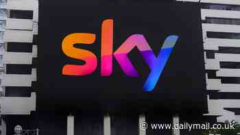 Sky Mobile is back online following a five-hour outage that left hundreds of frustrated customers unable to use the internet on their smartphones