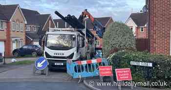 Connexin to pause Hull broadband pole installations - but work is continuing for now