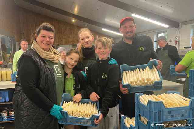 Het witte goud van De Pleynhoeve is weer beschikbaar: “Asperge uit volle grond blijft één van de laatste echte seizoensgroenten”