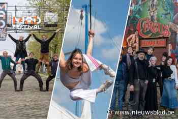 Toren van vijftigplussers, zwevende acrobaten en een circusfamilie met een verhaal: circusfestival MAD heeft het allemaal