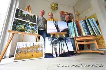 Nur Bäume im Kopf: Ausstellung „BaumARTig“ lockt nach Paderborn