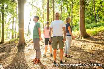 Kalletal lädt zum Waldbaden und Wandern ein