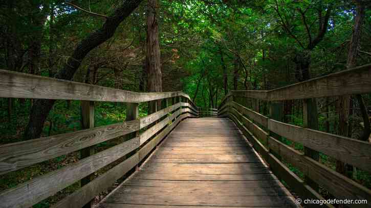 COLUMN: Love for the Outdoors is a Gift that Pays Forward