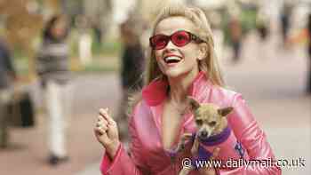 The Elle Woods effect: Good looking lawyers have more success in court, study finds