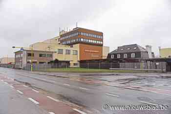 Barry Callebaut verkoopt 1,1 miljoen ton chocolade meer dan voorheen: “En toch willen ze mensen ontslaan”