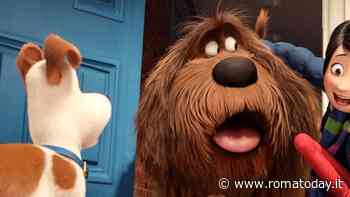 Forever kids alla Casa del Cinema